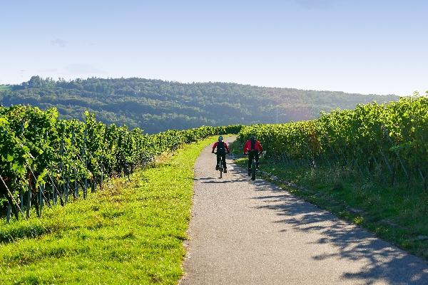 Fra Trier til Trittenheim | Piesport / ca. 45 km